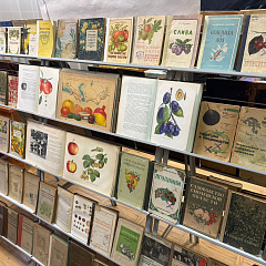 История плодоводства в редких книгах КубГАУ