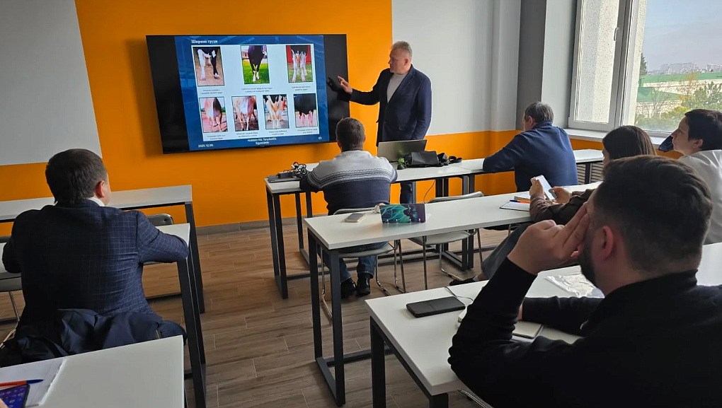 Оцениваем корову глазами эксперта: совершенствуемся вместе с лучшими специалистами отрасли