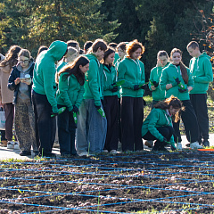 Весна 2026 года в Ботаническом саду КубГАУ будет яркой