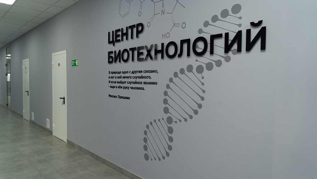 Бактерия против грибка