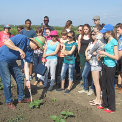 Первая практика студентов факультета агрохимии и почвоведения