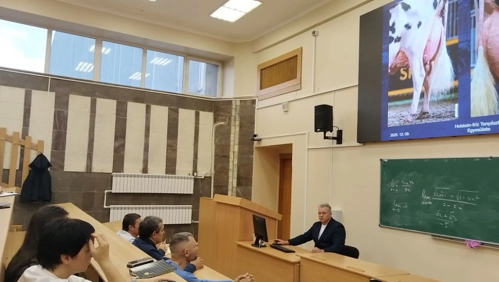 Оцениваем корову глазами эксперта: совершенствуемся вместе с лучшими специалистами отрасли