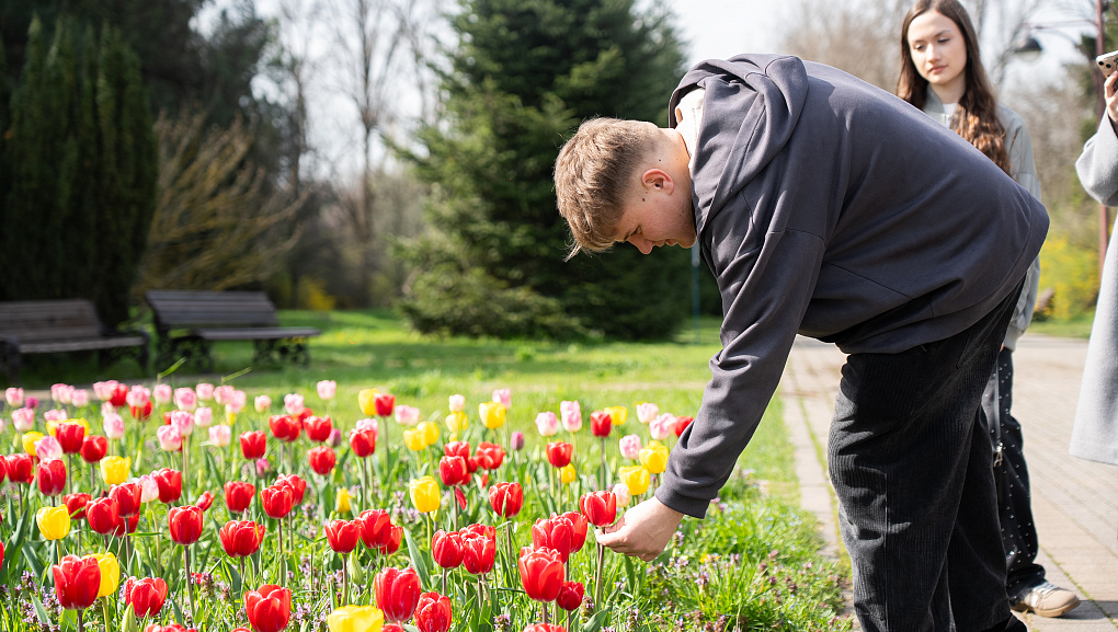Пять дней погружения в науку