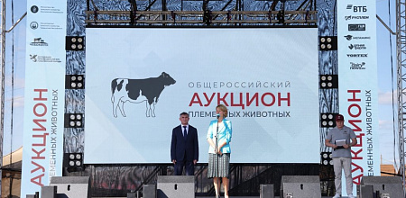 КубГАУ принял участие во II Всероссийском аукционе племенных животных