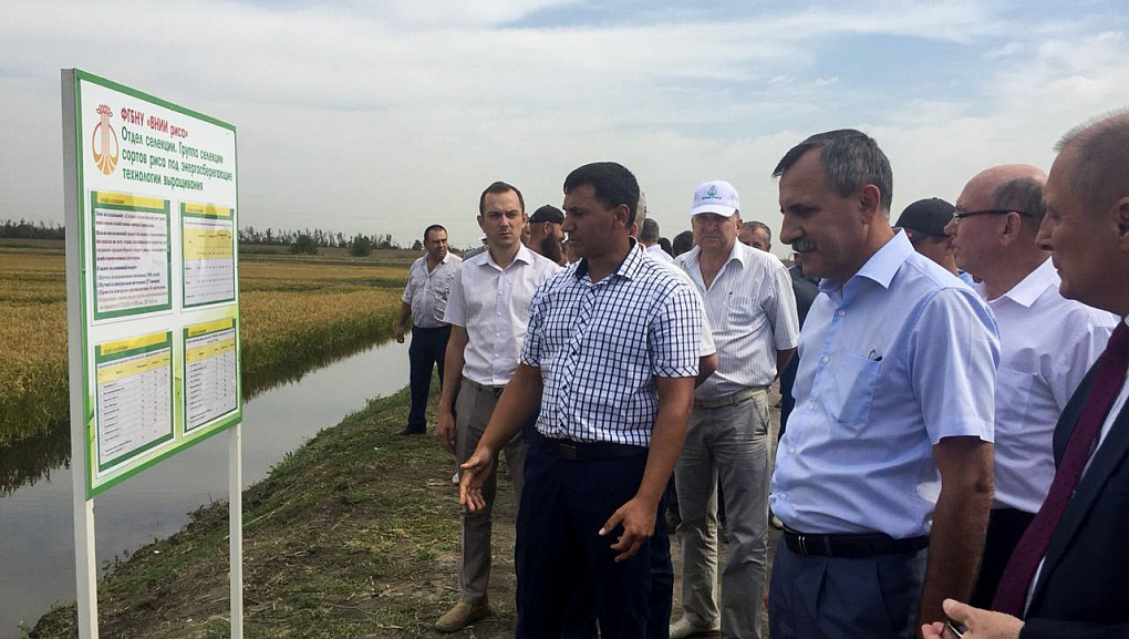 Кубанский ГАУ принял участие в Дне поля риса