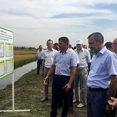Кубанский ГАУ принял участие в Дне поля риса