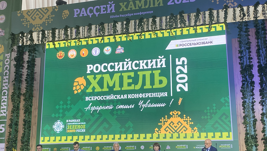 Хмель – перспективная культура для региона