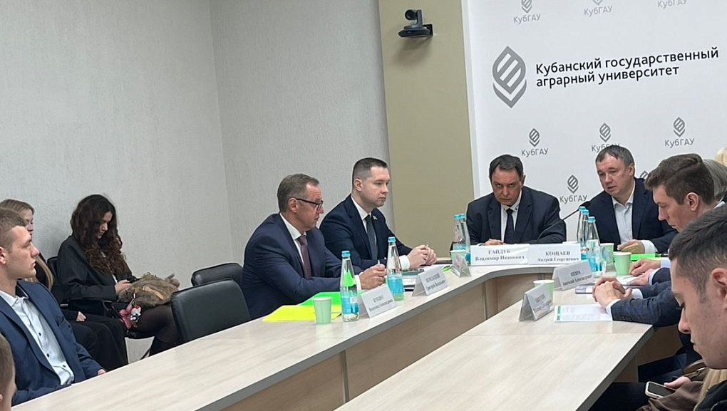 Про ИИ и проекты