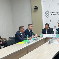 Про ИИ и проекты