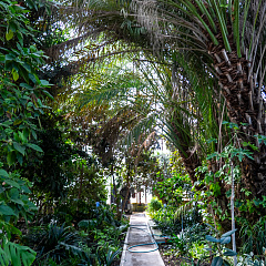 Пять дней погружения в науку