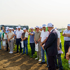 День поля в КубГАУ: практика и наука на одной волне