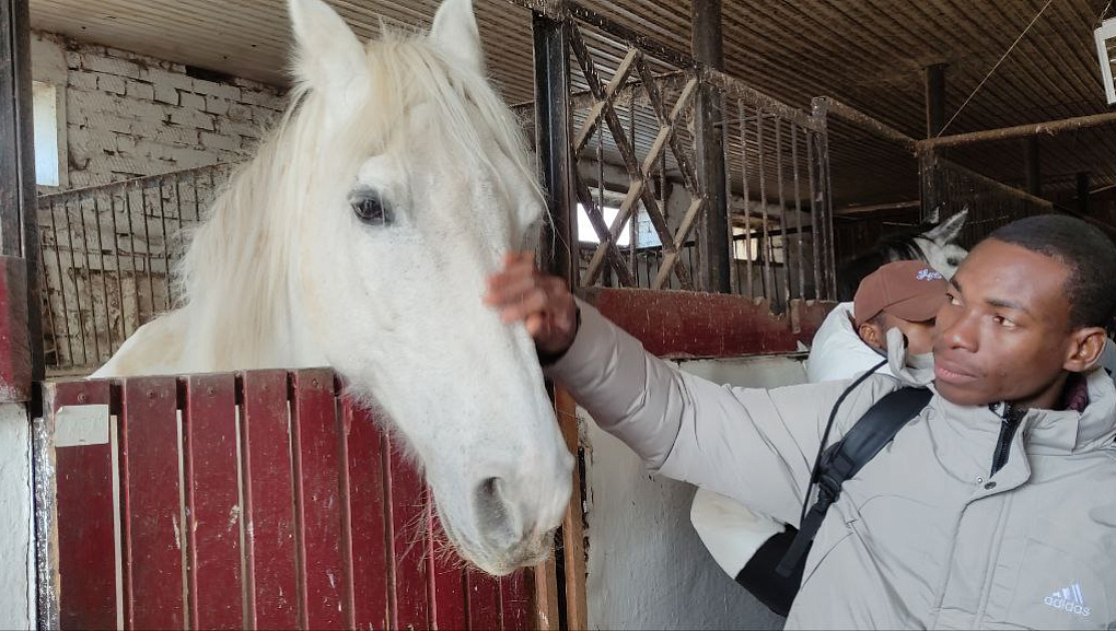 Путешествие иностранцев в конноспортивный клуб