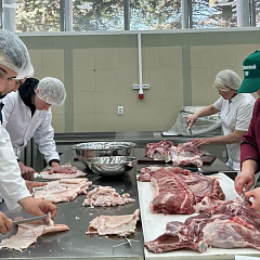 Новые кадры для региона от студенческих отрядов КубГАУ
