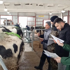Оцениваем корову глазами эксперта: совершенствуемся вместе с лучшими специалистами отрасли