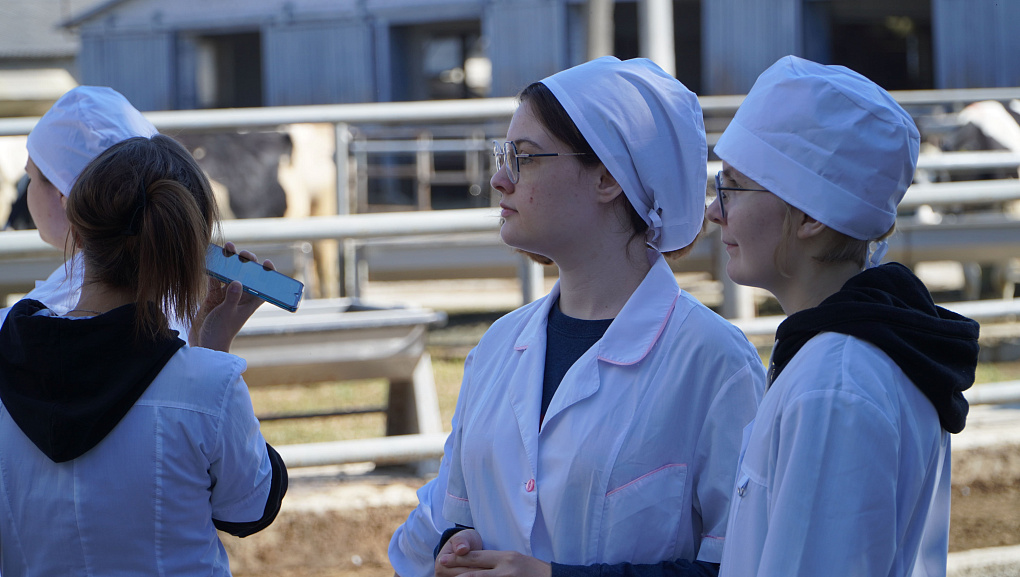 Студенты ветеринарного факультета КубГАУ осваивают технологии по геномному тестированию коров  