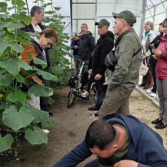 От генетики до тепличных персиков