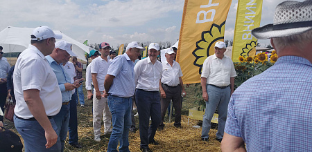 В поселке Новоберезанский Кореновского района прошёл «День поля гибридов и сортов подсолнечника, сортов сои»
