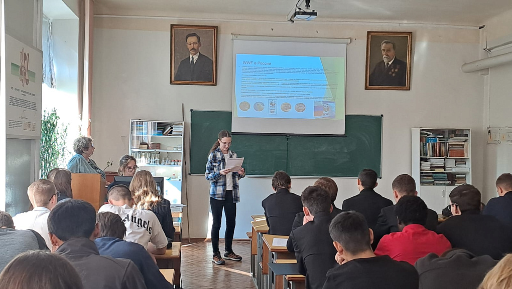 О братьях наших меньших