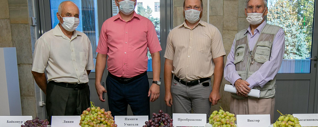 Достижения виноградарей