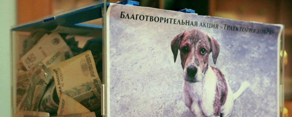 Траектория добра КубГАУ