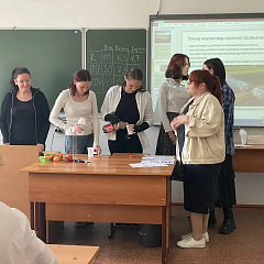 К профессии через практику