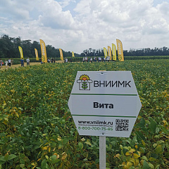В поселке Новоберезанский Кореновского района прошёл «День поля гибридов и сортов подсолнечника, сортов сои»