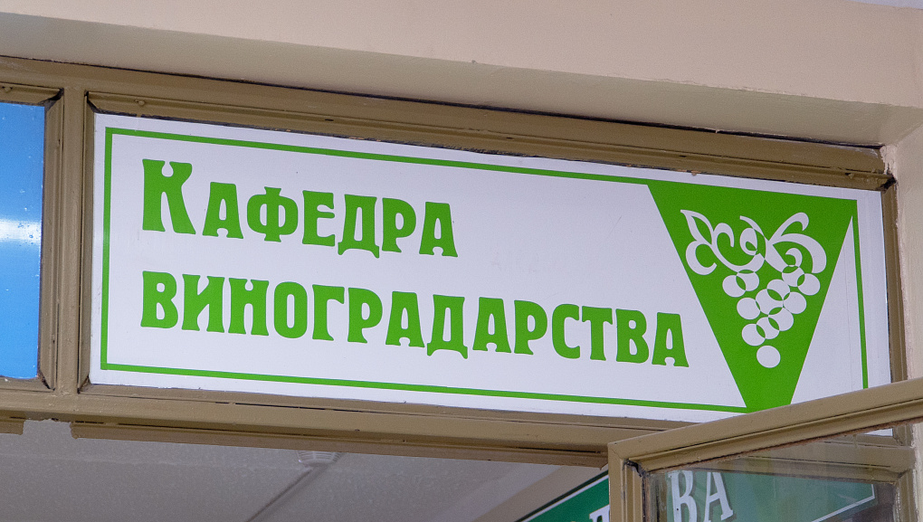 Юные аграрии открывают мир профессий: школьники посетили Кубанский ГАУ   