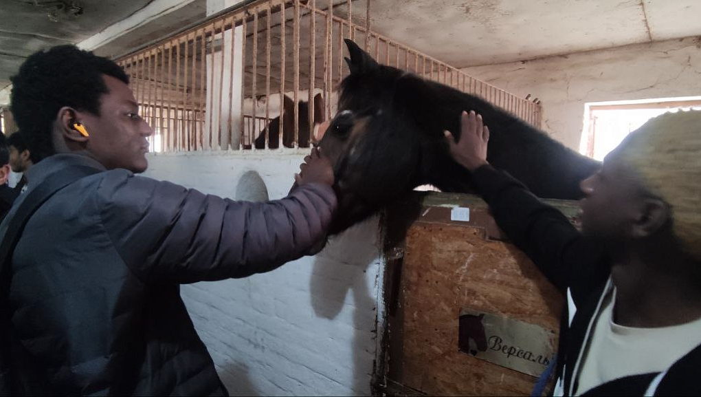 Путешествие иностранцев в конноспортивный клуб