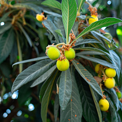 Пять дней погружения в науку