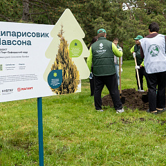 В Ботсаду КубГАУ высадили деревья
