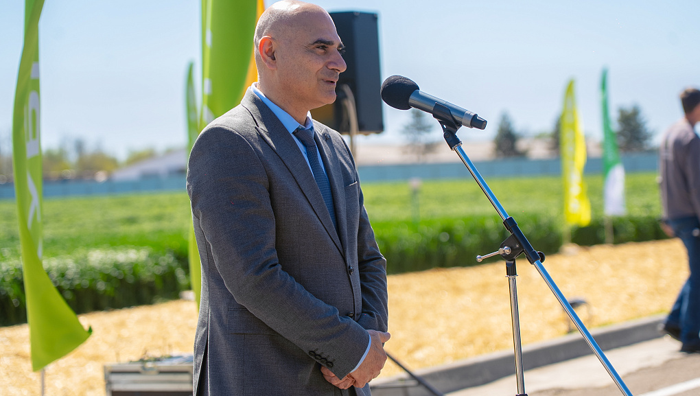 Тритикале – культура будущего