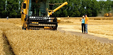 Учхоз «Кубань» занял лидирующие позиции по итогам кампании по уборке зерновых