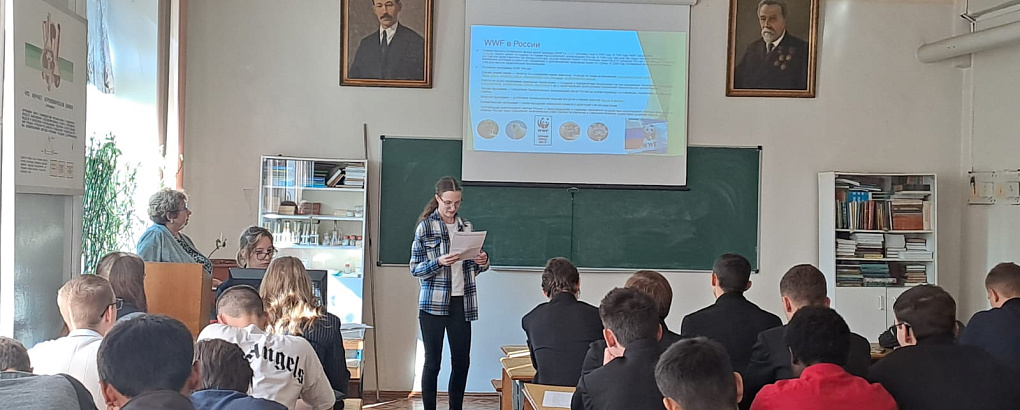 О братьях наших меньших