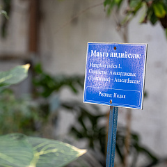 Пять дней погружения в науку