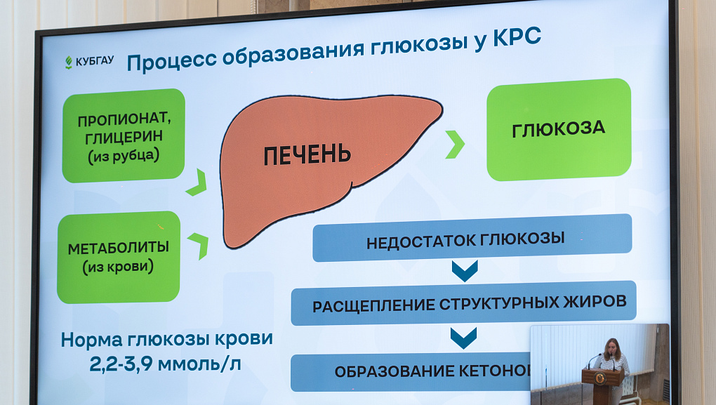Наука в фокусе