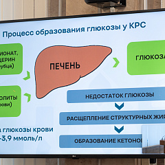 Наука в фокусе