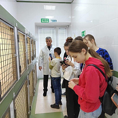 Школьники в гостях у ветеринарного факультета
