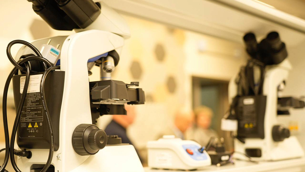 КубГАУ и «ГЕНЕЗИС»: новые горизонты сотрудничества с Африкой