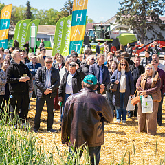 Тритикале – культура будущего