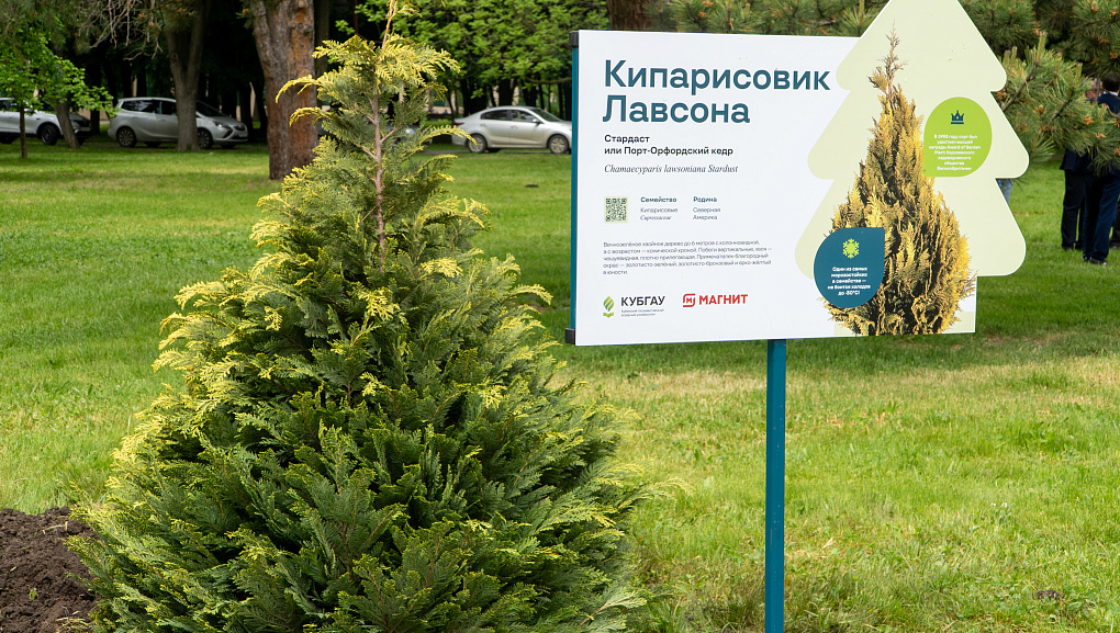 В Ботсаду КубГАУ высадили деревья