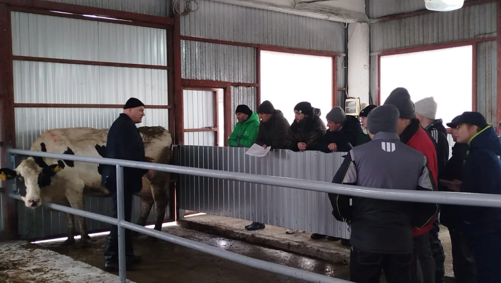 Оцениваем корову глазами эксперта: совершенствуемся вместе с лучшими специалистами отрасли