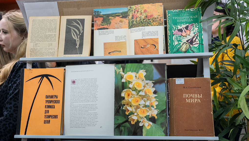 «Три сестры Великого Океана»