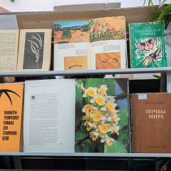 «Три сестры Великого Океана»